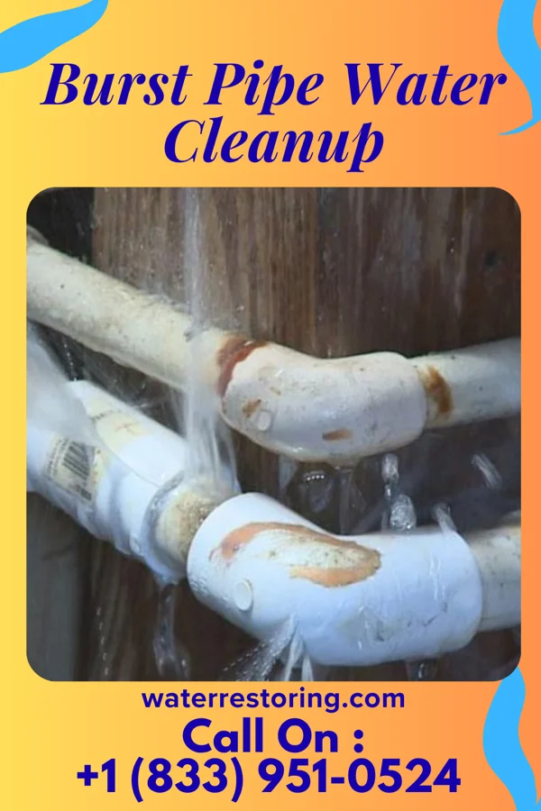 Burst Pipe Water Cleanup in Duffield, VA