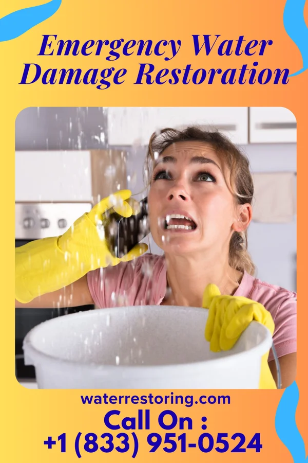 Emergency Water Damage Restoration in Duffield, VA