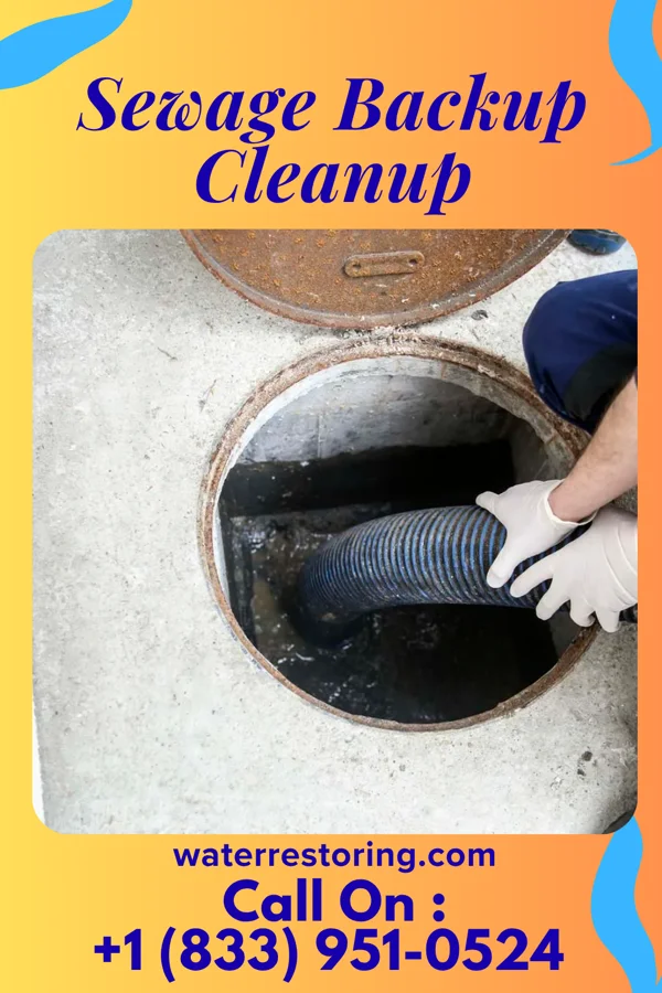 Sewage Backup Cleanup in Duffield, VA