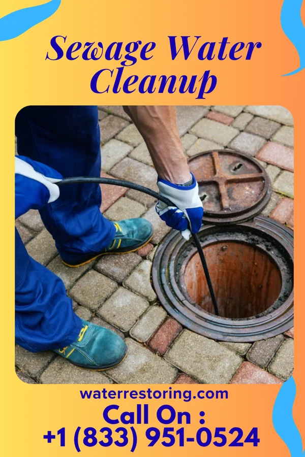 Sewage Water Cleanup in Duffield, VA