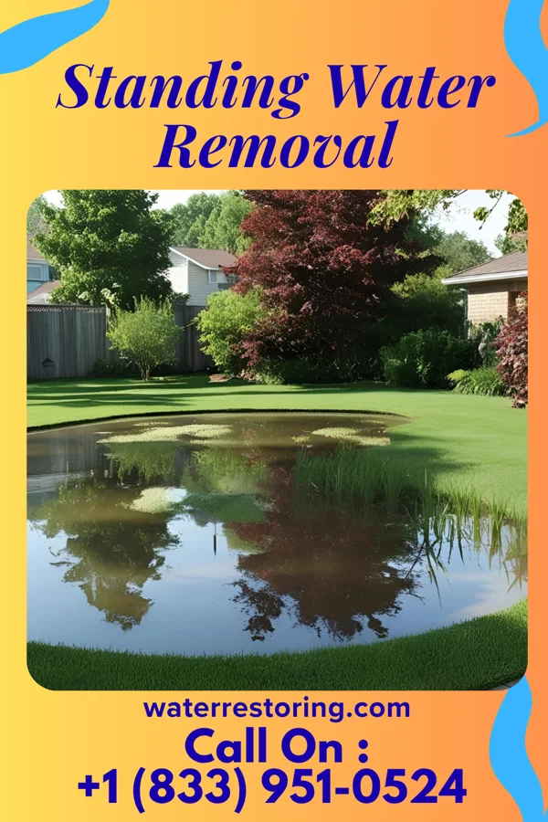 Standing Water Removal in Duffield, VA